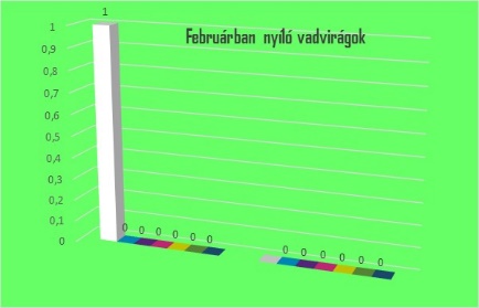 6. kép