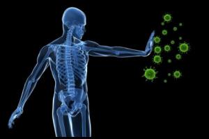 Immunrendszer. Forrás: https://health.usnews.com/